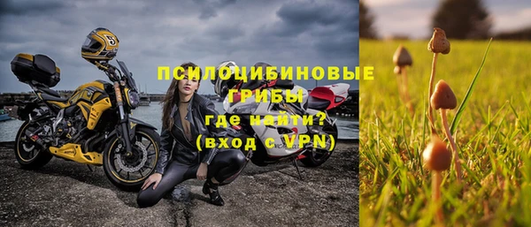 стаф Абдулино