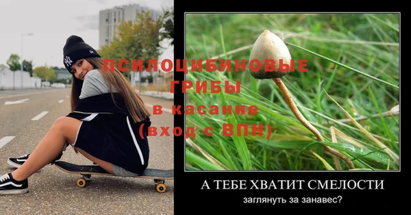 МДПВ Абаза