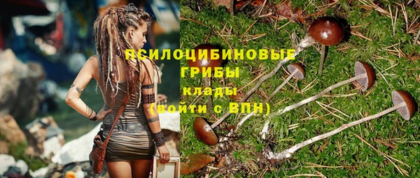 стаф Абдулино