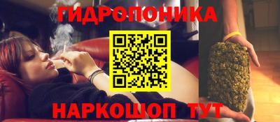 ПСИЛОЦИБИНОВЫЕ ГРИБЫ Канаш
