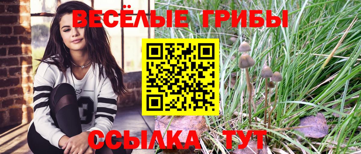 Псилоцибиновые грибы GOLDEN TEACHER  Вход с VPN  Дятьково  Псилоцибиновые грибы мицелий 