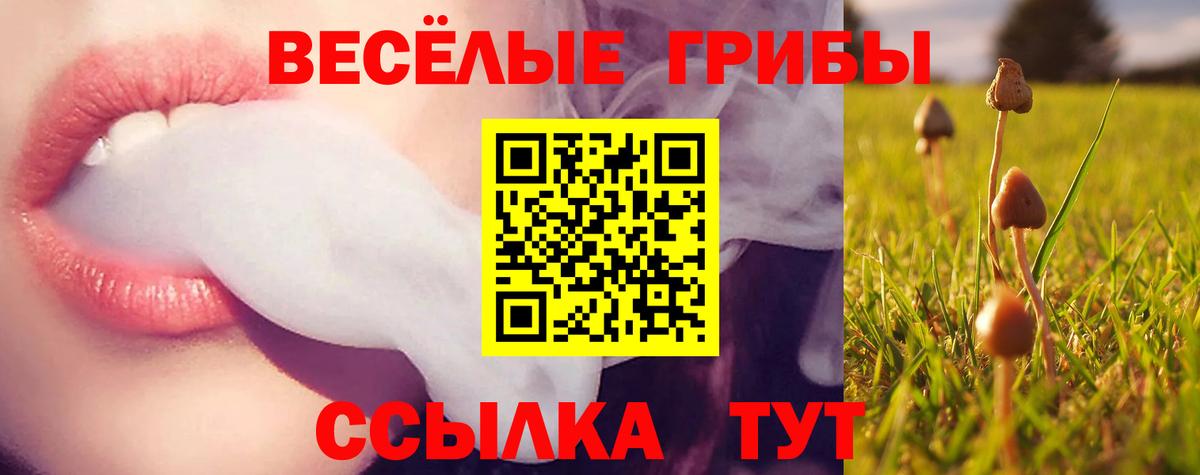 Псилоцибиновые грибы Cubensis Дятьково